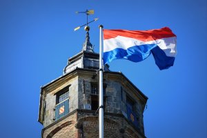 Hollanda'da tanıklık yapmak istemeyen muhabire gözaltına alındı
