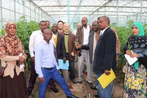 TİKA'dan Afrikalı tarım uzmanlarına eğitim desteği