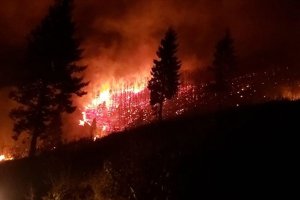 Trabzon'da 22 noktadaki örtü yangını söndürüldü