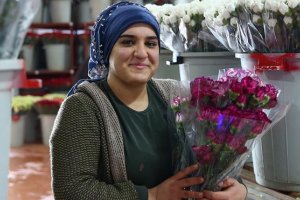 Türkiye rekor kırdı, 50 ülkeye 60 milyon dal çiçek ihraç etti
