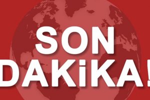 Koronavirüs nedeniyle 42 kişilik Türk aile karantinaya alındı