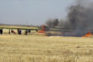 Suriye'de Esed rejimi halkın ekinlerini yakıyor