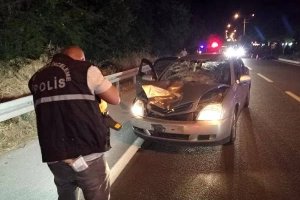 Gurbetçi kadın Türkiye’de kaza yaptı