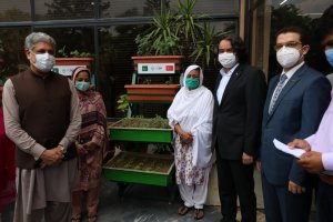  TİKA'dan Pakistan'da kadınlara mikro bahçecik projesi