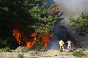 Hatay’daki orman yangınlarıyla ilgili 2 şüpheli