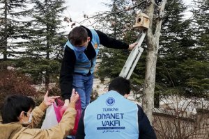Diyanet'in genç gönüllüleri, sokak hayvanlarını unutmuyor