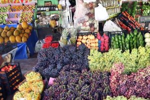 Batı Akdeniz 135 ülkeye sebze meyve ihraç ediyor