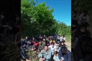 Yunanistan göçmenleri soyup dövüp Türkiye'ye gönderiyor