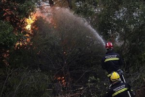 Yunanistan'da devam eden orman yangınlarına eleştiriler sürüyor