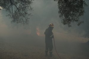 Yunanistan'da yüz binlerce dönümlük ormanı küle çeviren yangınlar devam ediyor