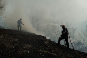 Yunanistan’da orman yangınlarında 1 milyon dönüm alan kül oldu