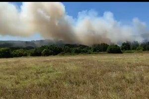 Batı Trakya'da korkutan orman yangını devam ediyor
