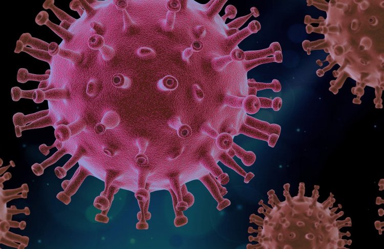 İtalya'da Virüs Omicron varyantı tespit edildi