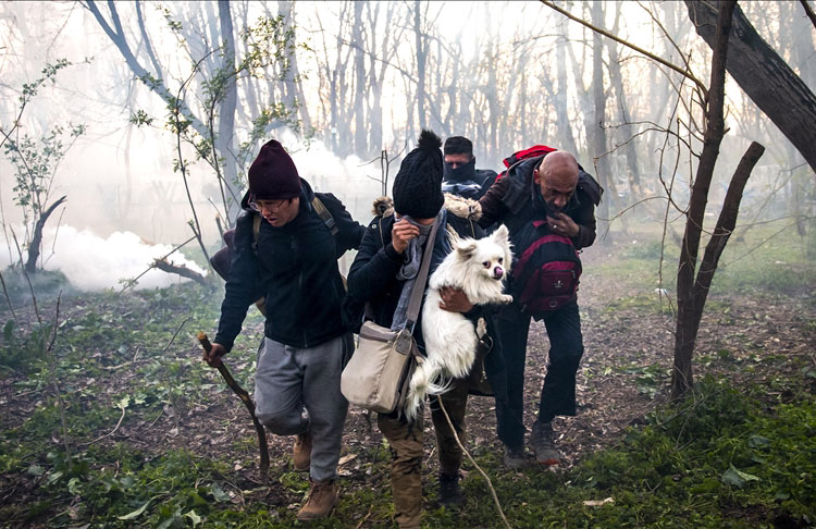 Yunanistan sığınmacılara uygun barınma sağlayamıyor
