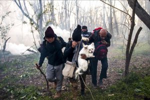 Yunanistan sığınmacılara uygun barınma sağlayamıyor