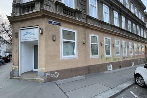 Avusturya'da iki camiye terör örgütü yandaşlarından saldırı