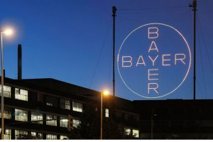 Alman Bayer Rusya ve Belarus'ta faaliyetleri durdurdu
