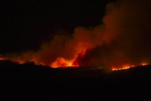 Atina yakınlarında orman yangını