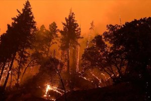 Almanya-Çekya sınırındaki orman yangını yayılmaya devam ediyor