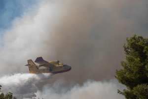 Avrupa Birliği Fransa'ya orman yangınlarıyla için uçak gönderdi