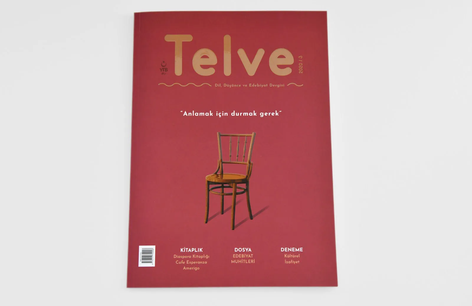 Telve Dergisi’nin yeni sayısı “Edebiyat Muhitleri” dosyası ile yayımlandı. 
