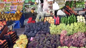 Almanya, Rusya, Ukrayna ve Romanya başta olmak üzere 135 ülkeye