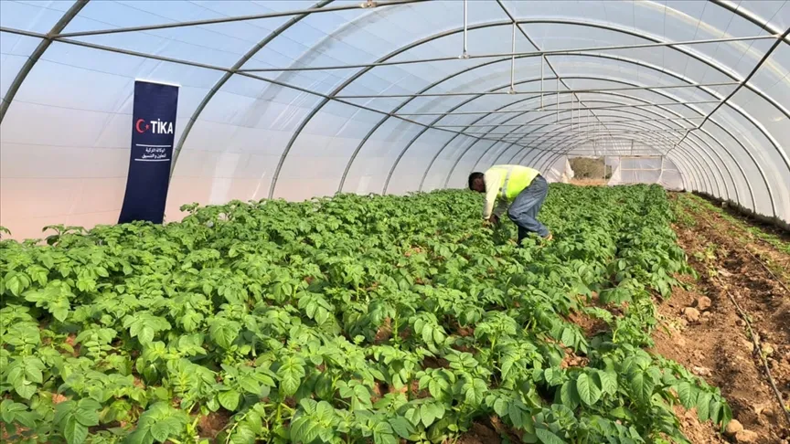 Türk İşbirliği ve Koordinasyon Ajansı Başkanlığı (TİKA), Lübnan'ın kuzeyindeki Türkmenlere