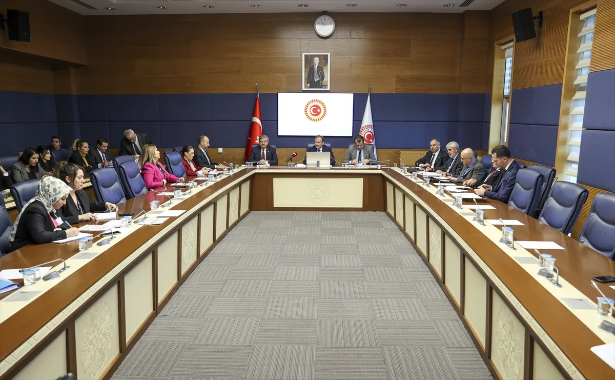 TBMM İnsan Haklarını İnceleme Komisyonu, Espiye (Giresun) ve Bolu Ceza