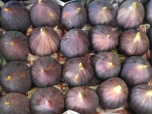 Dünyanın en kaliteli incirlerinden biri kabul edilen "Bursa siyahı"nın pazardaki