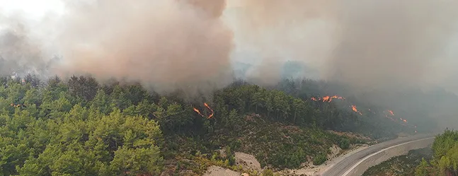 Orman Genel Müdürü Karacabey, 6 günde Türkiye'nin farklı illerinde çıkan