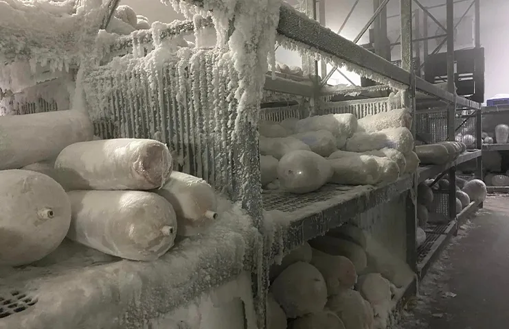 Türkiye'nin Essen Başkonsolosu Taylan Özgür Aydın, çalışma bölgesindeki iş insanlarını