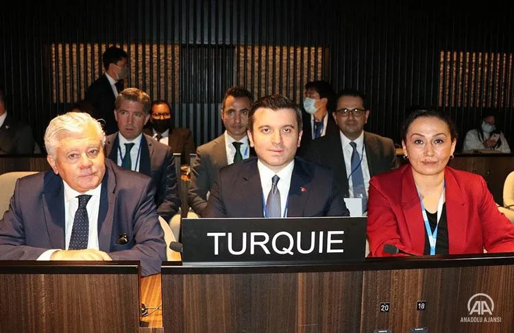 Türkiye, Birleşmiş Milletler Eğitim, Bilim ve Kültür Teşkilatı (UNESCO) Yürütme