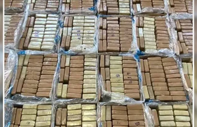 Hollanda'nın liman kenti Rotterdam'da, Kosta Rika'dan gelen bir gemide, 1