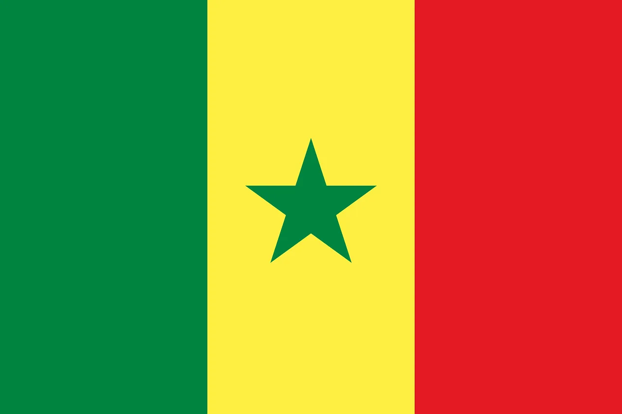 Senegal hükümeti, bazı şehirlerde düzenlenen saldırılar sonrası yurt dışındaki konsoloslukları