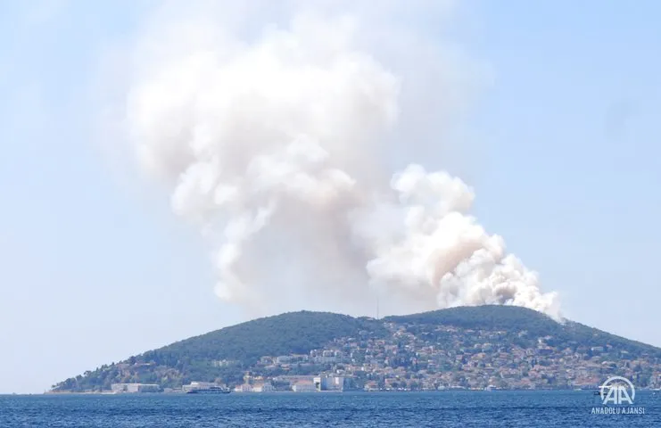 Heybeliada'da ormanlık alanda çıkan yangına itfaiye ekipleri müdahale ediy