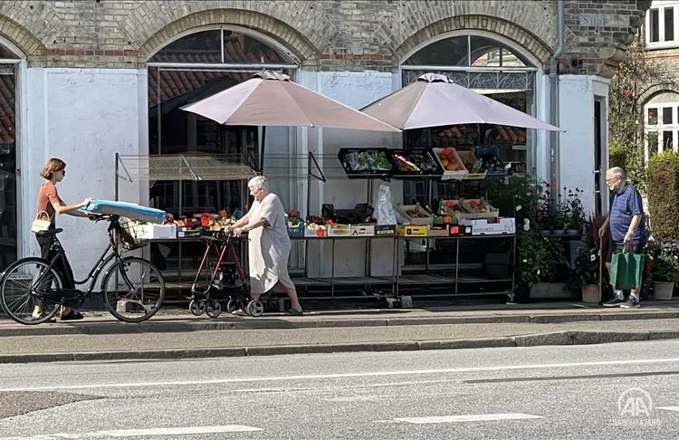 Danimarka Ulusal Sağlık Kurulu, ülkedeki yeni tip virüs salgınının tamamen