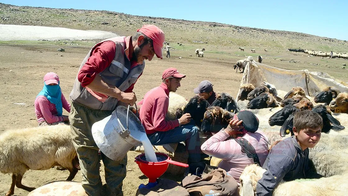 Geniş mera ve yaylaları, zengin bitki örtüsüyle her yıl onlarca
