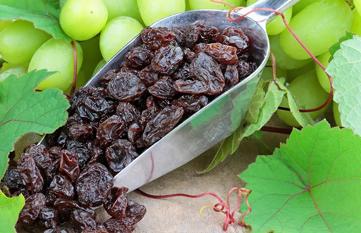 Kuru yemişler, lezzetlerinin yanı sıra sağlık üzerinde de pek çok