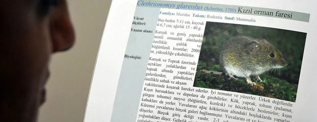 Çin'in resmi yayın kuruluşu Global Times'ın haberinde, ülkenin batısındaki Yunnan