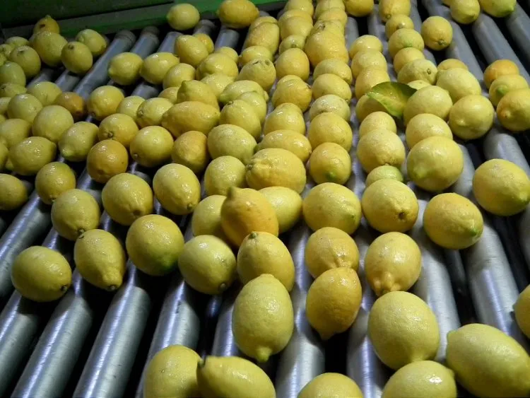galeri 2018 haber 12 aralik limon b n1y5QQUd