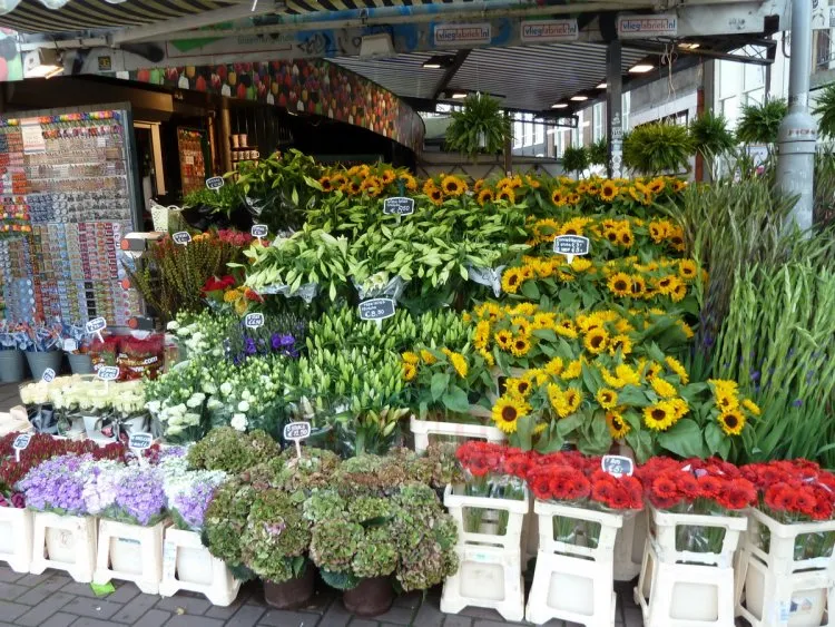 galeri amsterdam blumenmarkt NMKShf9PP3
