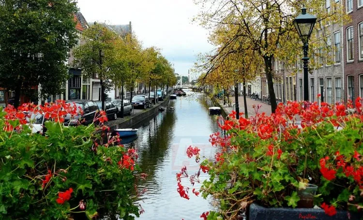 galeri canal 257471 960 lWthBIJvdB