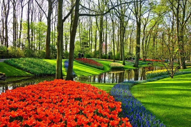 galeri garden 3345970 960 gFSG2nheXH
