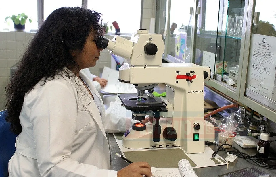 DNA soyağacı sorgulamanın 2016’dan beri popüler hale geldiği bildirilirken Almanya’da
