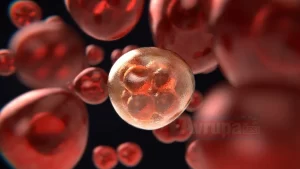 Medipol Esenler Hastanesi İç Hastalıkları Uzmanı Dr. Önder Ovalı, "Kalp