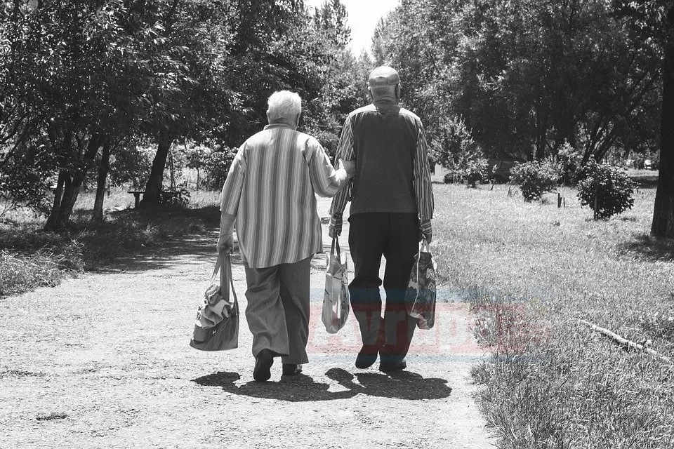 Almanya'da  gelecek 20 yıl içinde her beş emeklinin yoksulluk