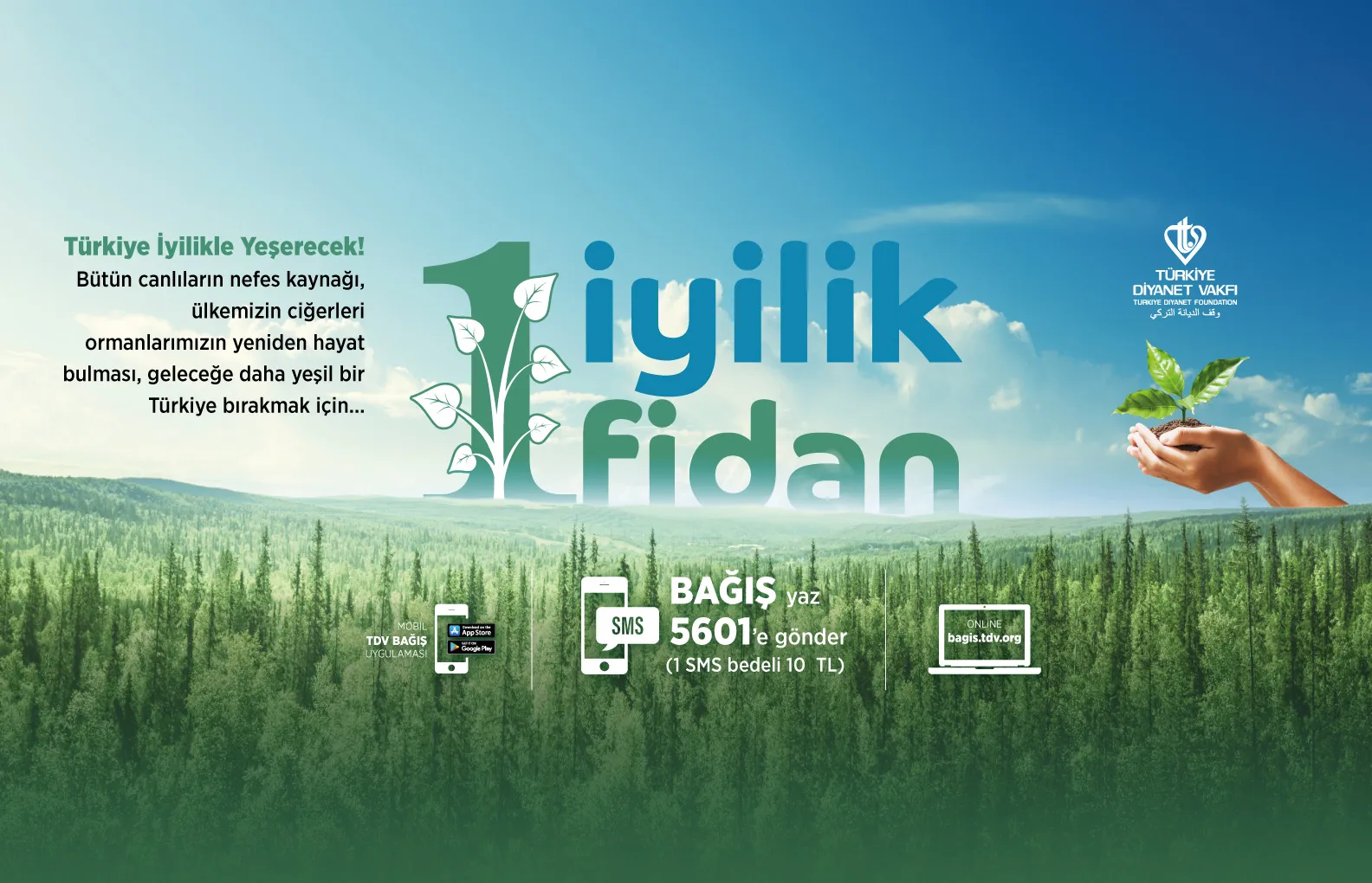 Türkiye Diyanet Vakfı başta Hatay, Osmaniye, Kahramanmaraş ve Trabzon olmak