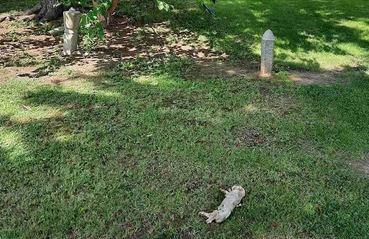 Bosna Hersek'in doğusundaki Bratunac'ta bulunan bir caminin avlusuna kimliği belirsiz