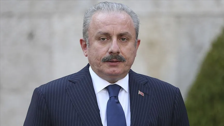 TBMM Başkanı Mustafa Şentop, Muğla'da üniversite öğrencisi Pınar Gültekin'in öldürülmesine