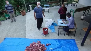 Artvin'in Yanıklı köyü sakinleri, Kurban Bayramı'nda birlik, beraberlik ve paylaşma